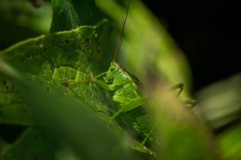 IMG_7783